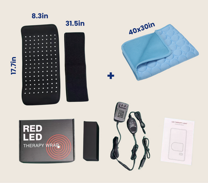 Help Your Pup Stay Comfortable, Mobile, and Part of Every Moment