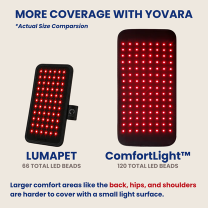 Help Your Pup Stay Comfortable, Mobile, and Part of Every Moment