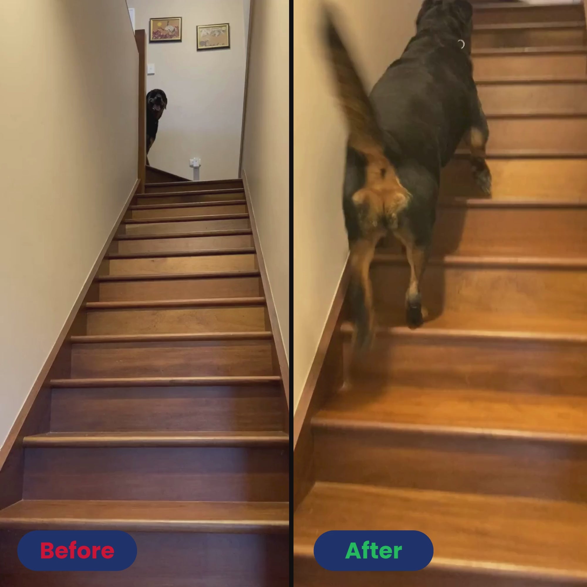 beforeafter